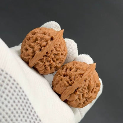 Specical Price | Water Dragon Pattern Wenwan walnuts（Ragular Grade）