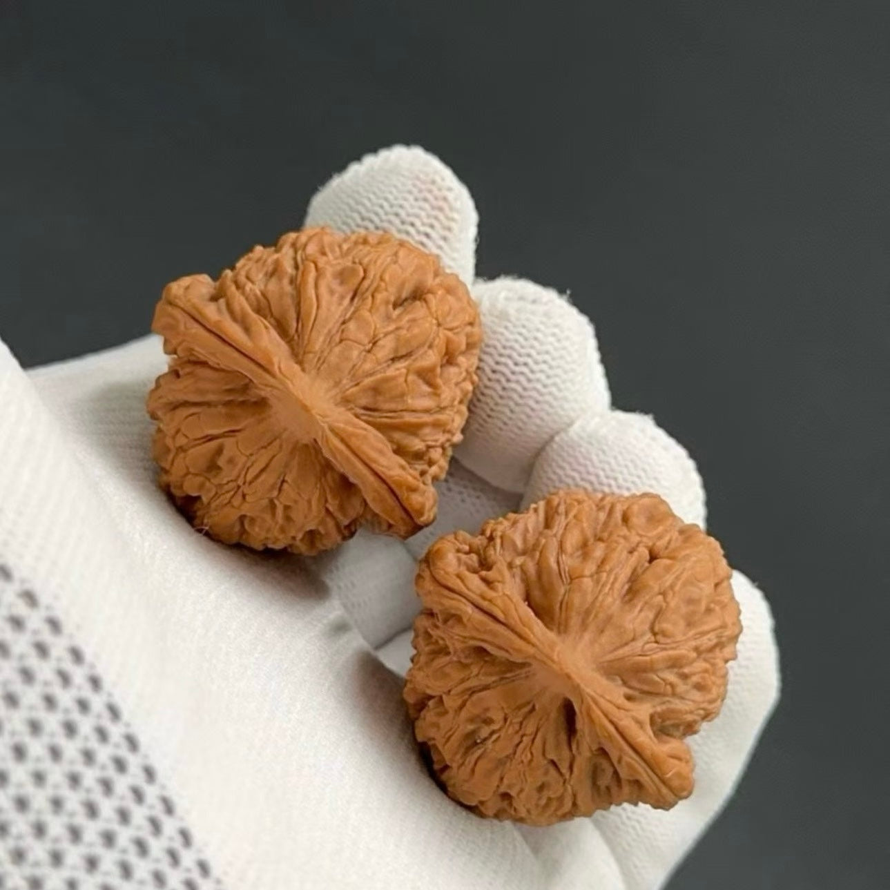 Specical Price | Water Dragon Pattern Wenwan walnuts（Ragular Grade）