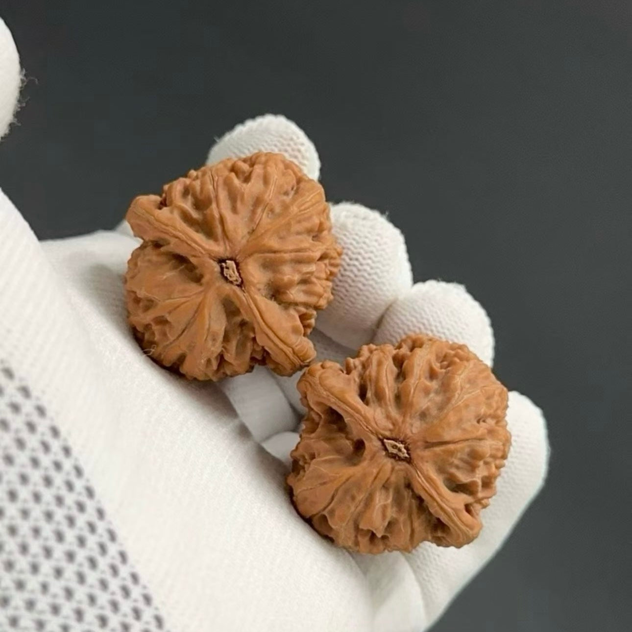 Specical Price | Water Dragon Pattern Wenwan walnuts（Ragular Grade）
