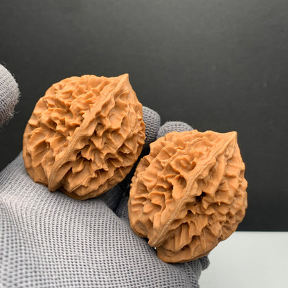 Wealth Attracting Angle Wenwan Walnuts | Width38*Belly41*Height50 | NO.69076 | Premium