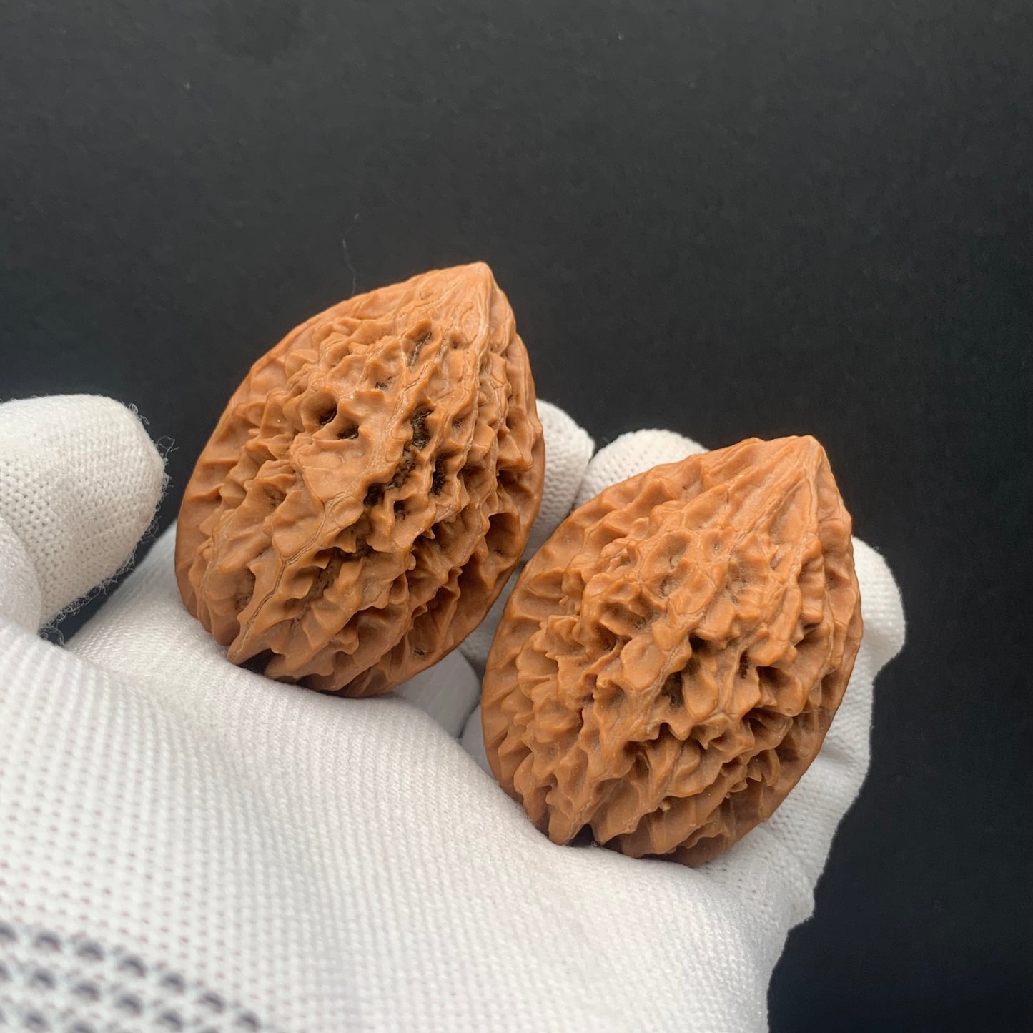 Wealth Rat Walnuts | Width37*Belly38*Height50 | No. 68141 | Premium