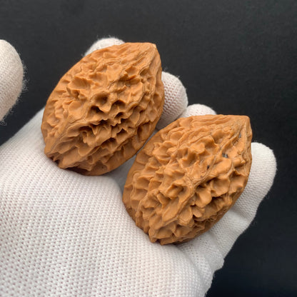 Wealth Rat Walnuts | Width35*Belly39*Height50 | No. 0260627-03 | Premium