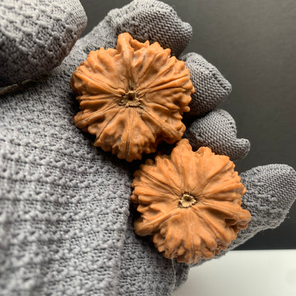 Wenshan Three-Ridged Mercedes-Benz Walnuts | Width39/39/39*Height33 | No.26‑YLCJ‑019 | Premium