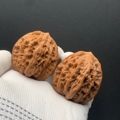 Wheat Ear Tiger Head Walnuts | Width42*Belly40*Height45 | No. 67271 | Premium