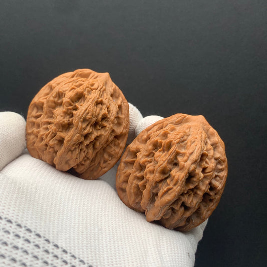 Wheat Ear Tiger Head Walnuts | Width42*Belly40*Height45 | No. 67271 | Premium