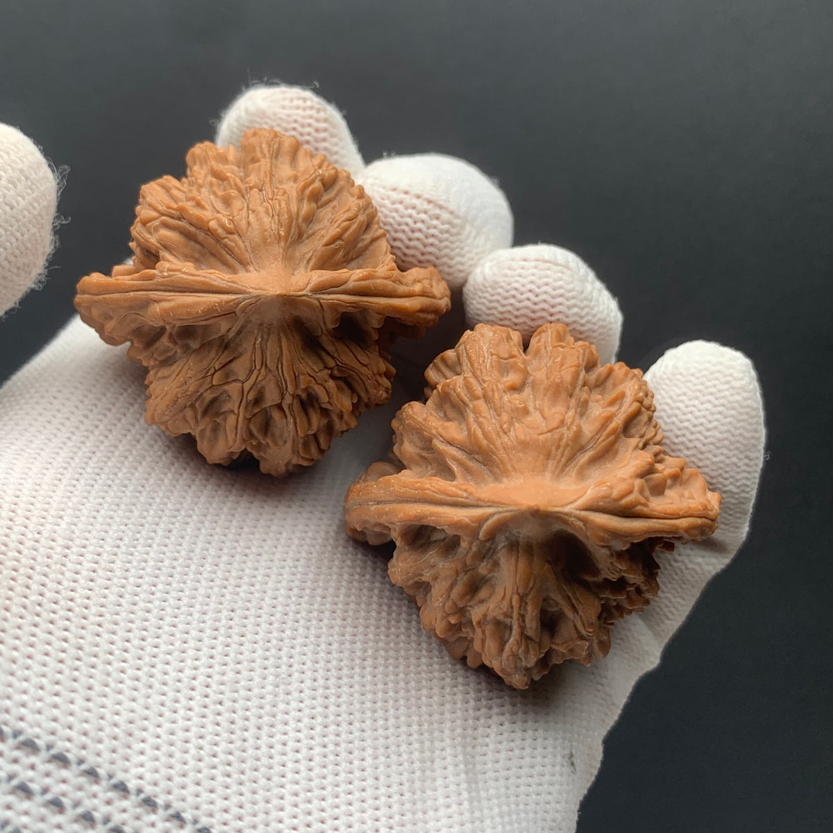 Wheat Ear Tiger Head Walnuts | Width42*Belly40*Height45 | No. 67271 | Premium