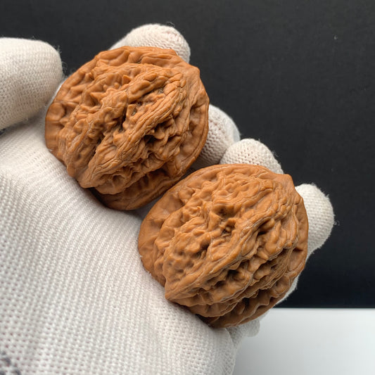 Wheat‑ear Tiger Head Walnuts | Width38*Belly38*Height42 | No.608181 | Premium