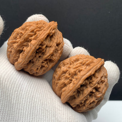 Wheat‑ear Tiger Head Walnuts | Width38*Belly38*Height42 | No.608181 | Premium