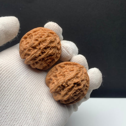 White Lion Walnuts | Width35*Belly38*Height33 | NO.671701 | Premium
