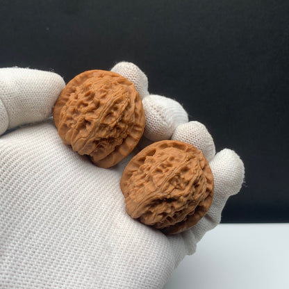 White Lion Walnuts | Width34*Belly36*Height33 | NO.671705 | Premium
