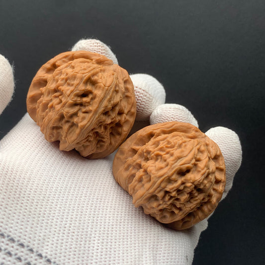 White Lion Walnuts | Width40*Belly39*Height34 | No. 671605 | Premium