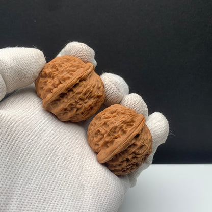 White Lion Walnuts | Width34*Belly36*Height33 | NO.671705 | Premium
