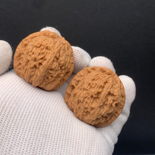 White Lion Walnuts | Width35*Belly34*Height33 | No. 671702 | Premium