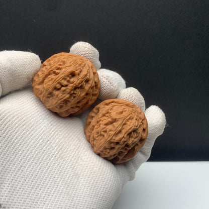White Lion Walnuts | Width34*Belly36*Height33 | NO.671705 | Premium