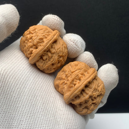 White Lion Walnuts | Width37*Belly36*Height29 | No. 68153 | Premium
