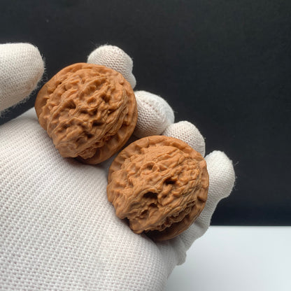 White Lion Walnuts | Width35*Belly38*Height33 | NO.671701 | Premium