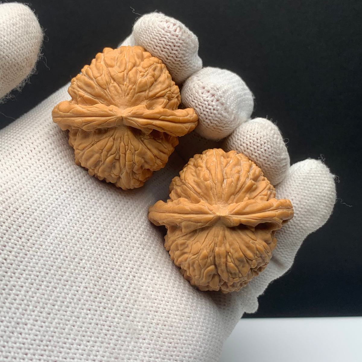 White Lion Walnuts | Width37*Belly36*Height29 | No. 68153 | Premium