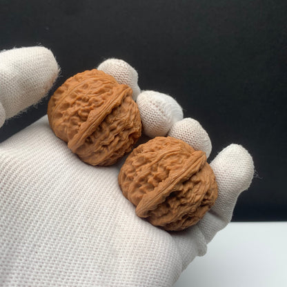 White Lion Walnuts | Width34*Belly36*Height33 | NO.671705 | Premium