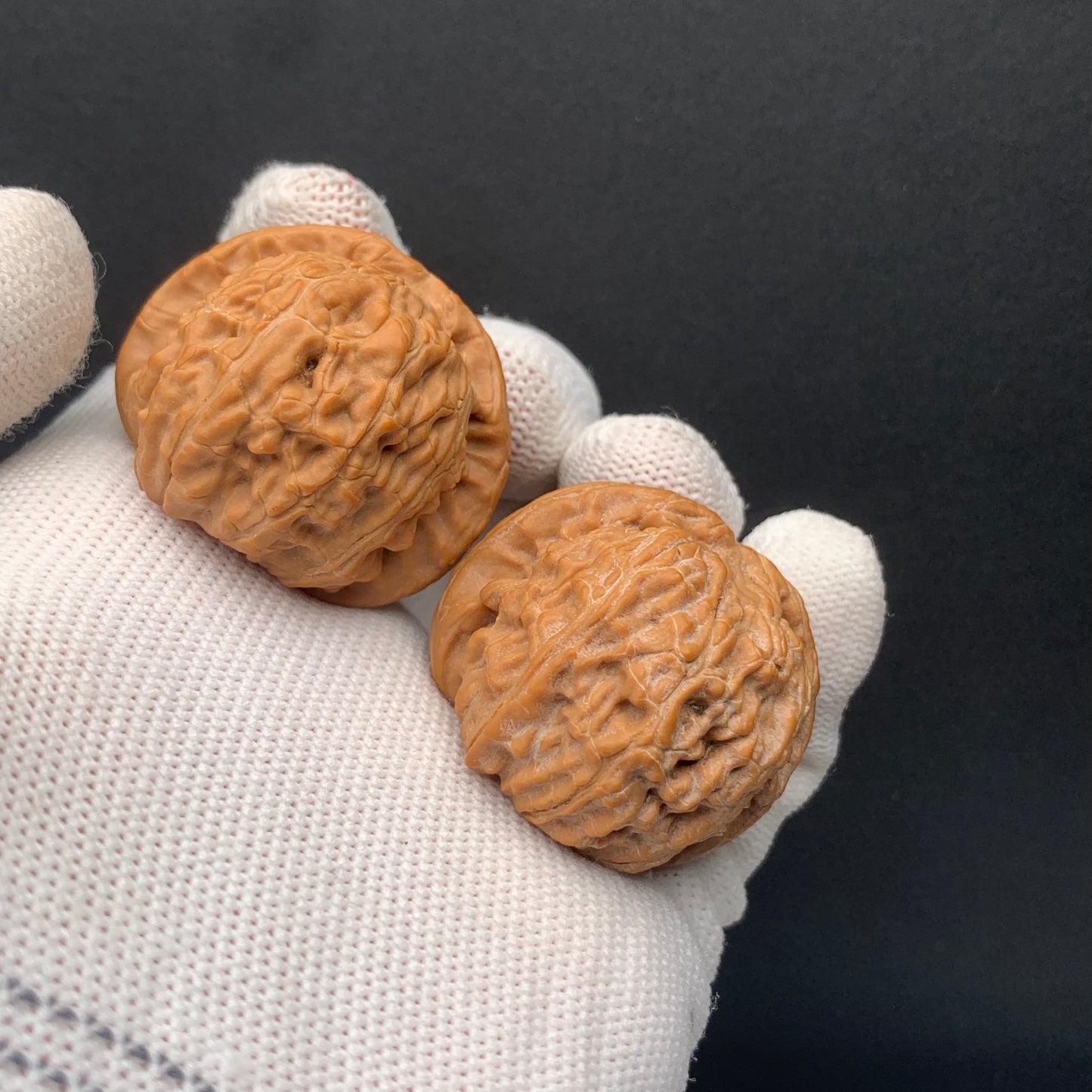 White Lion Walnuts | Width37*Belly37*Height30 | No. 671602 | Premium