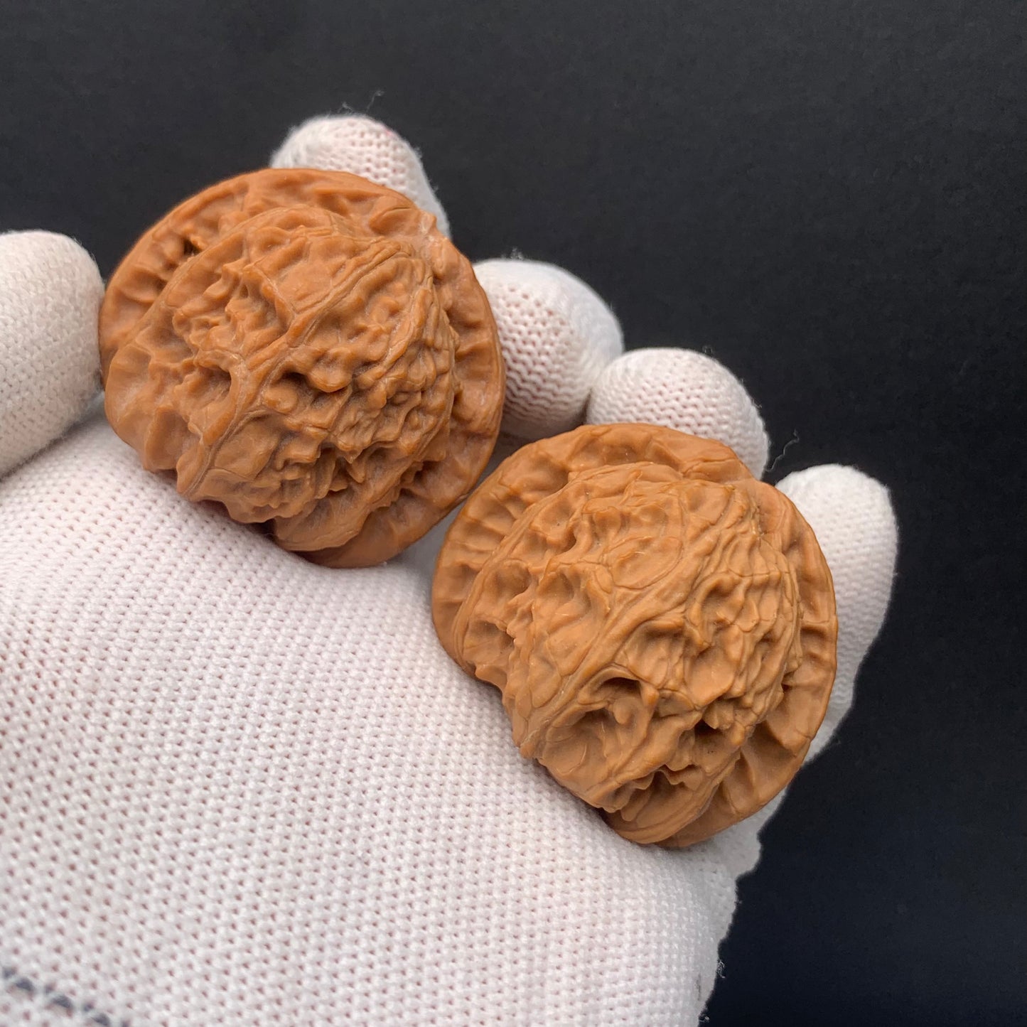 White Lion Walnuts | Width39*Belly37*Height34 | No. 671603 | Premium