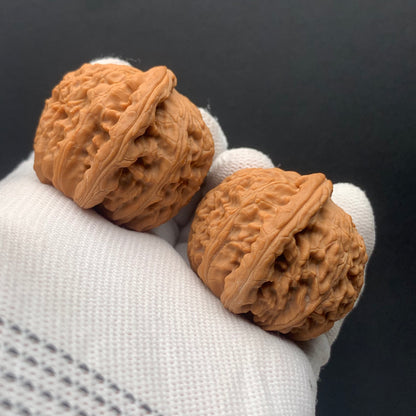 White Lion Walnuts | Width40*Belly39*Height34 | No. 671605 | Premium