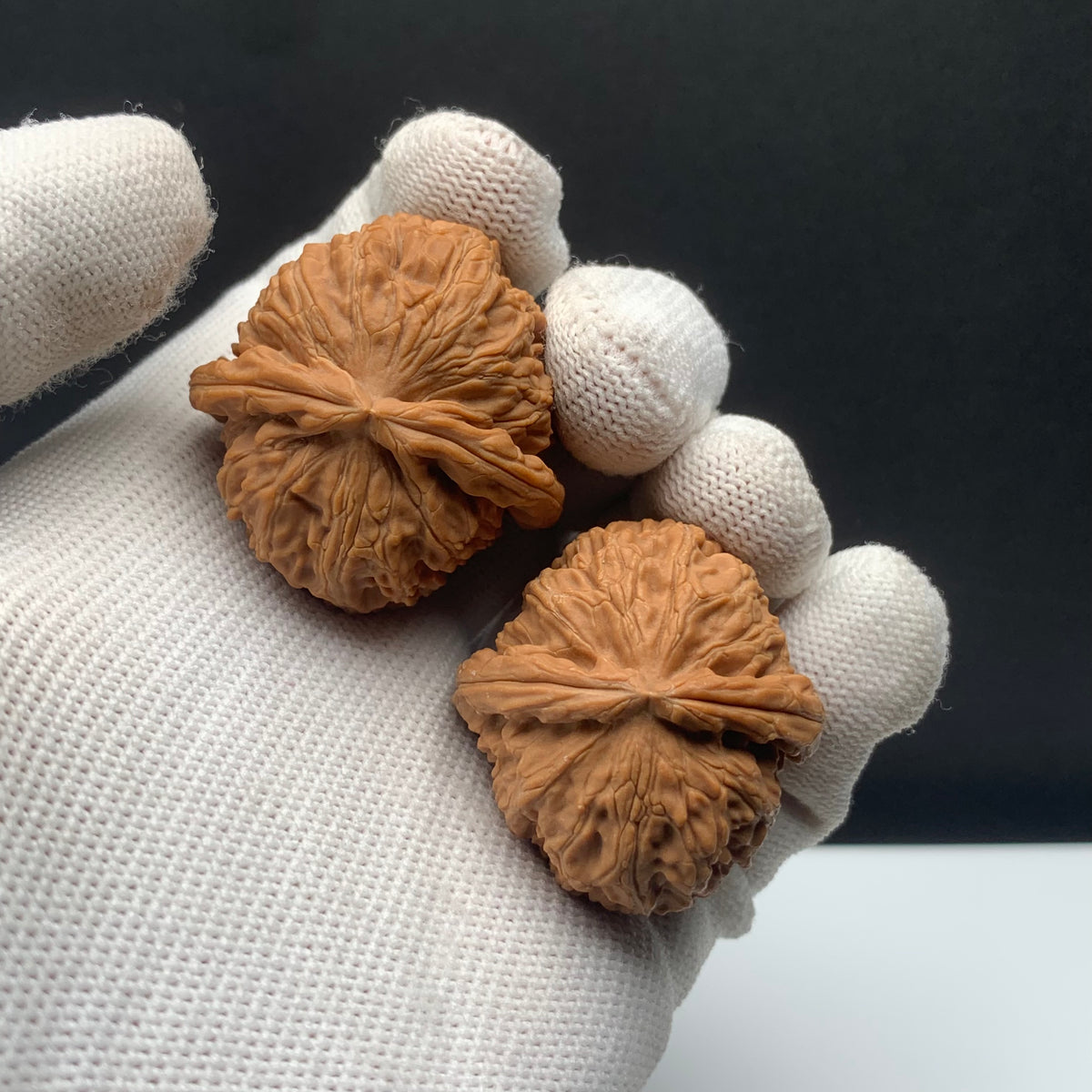 White Lion Walnuts | Width34*Belly36*Height33 | NO.671705 | Premium