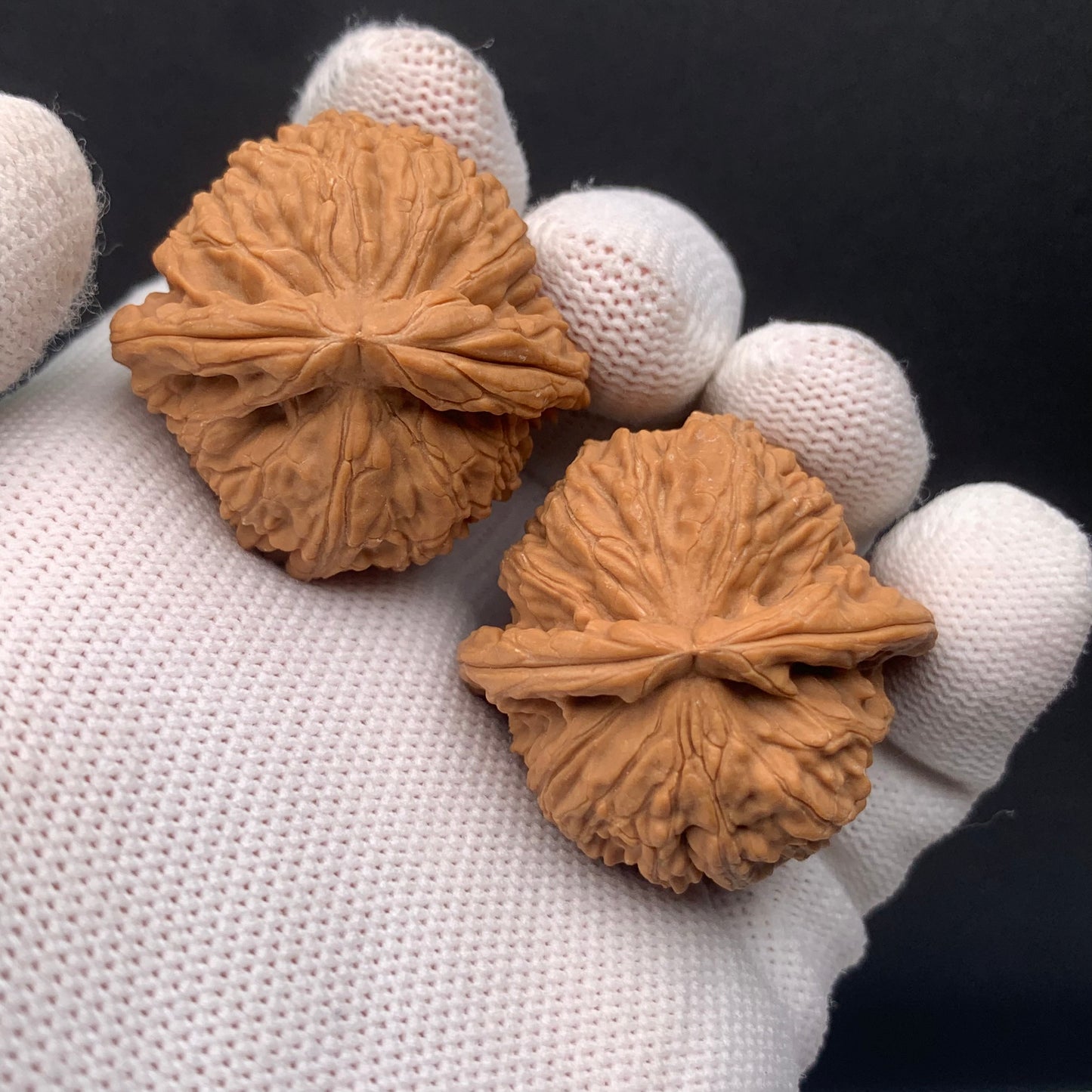 White Lion Walnuts | Width35*Belly34*Height33 | No. 671702 | Premium