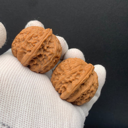 White Lion Walnuts | Width39*Belly37*Height34 | No. 671603 | Premium