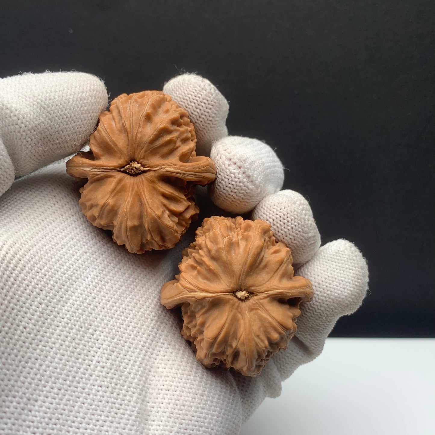 White Lion Walnuts | Width35*Belly38*Height33 | NO.671701 | Premium