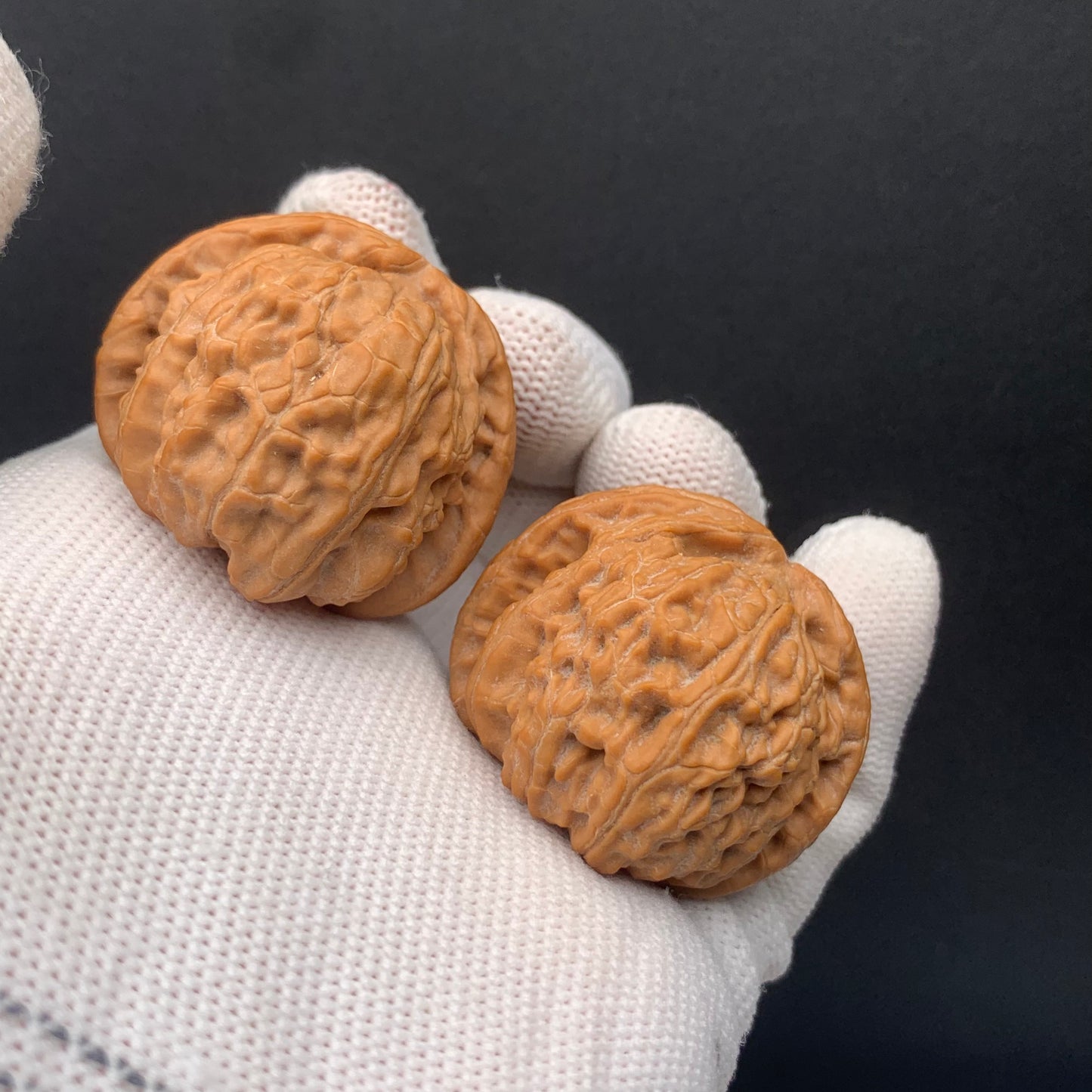 White Lion Walnuts | Width37*Belly37*Height30 | No. 671602 | Premium