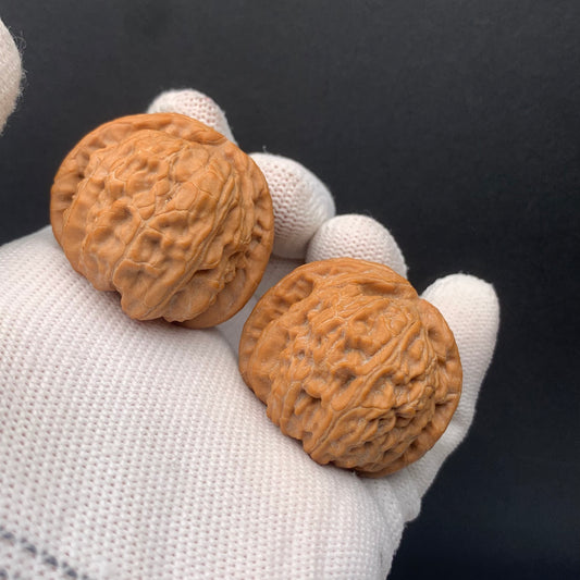 White Lion Walnuts | Width37*Belly37*Height30 | No. 671602 | Premium