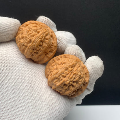 White Lion Walnuts | Width37*Belly36*Height29 | No. 68153 | Premium