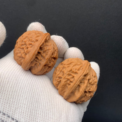 White Lion Walnuts | Width39*Belly37*Height34 | No. 671603 | Premium