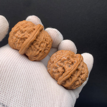 White Lion Walnuts | Width37*Belly37*Height30 | No. 671602 | Premium