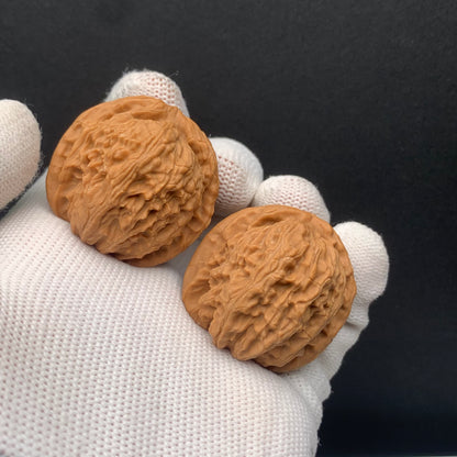 White Lion Walnuts | Width35*Belly34*Height33 | No. 671702 | Premium