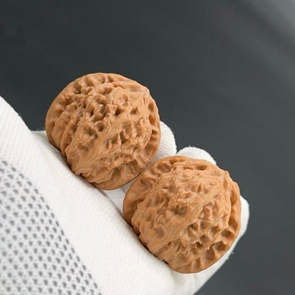 On Sale | White Lion wenwan walnuts（Regular Grade）