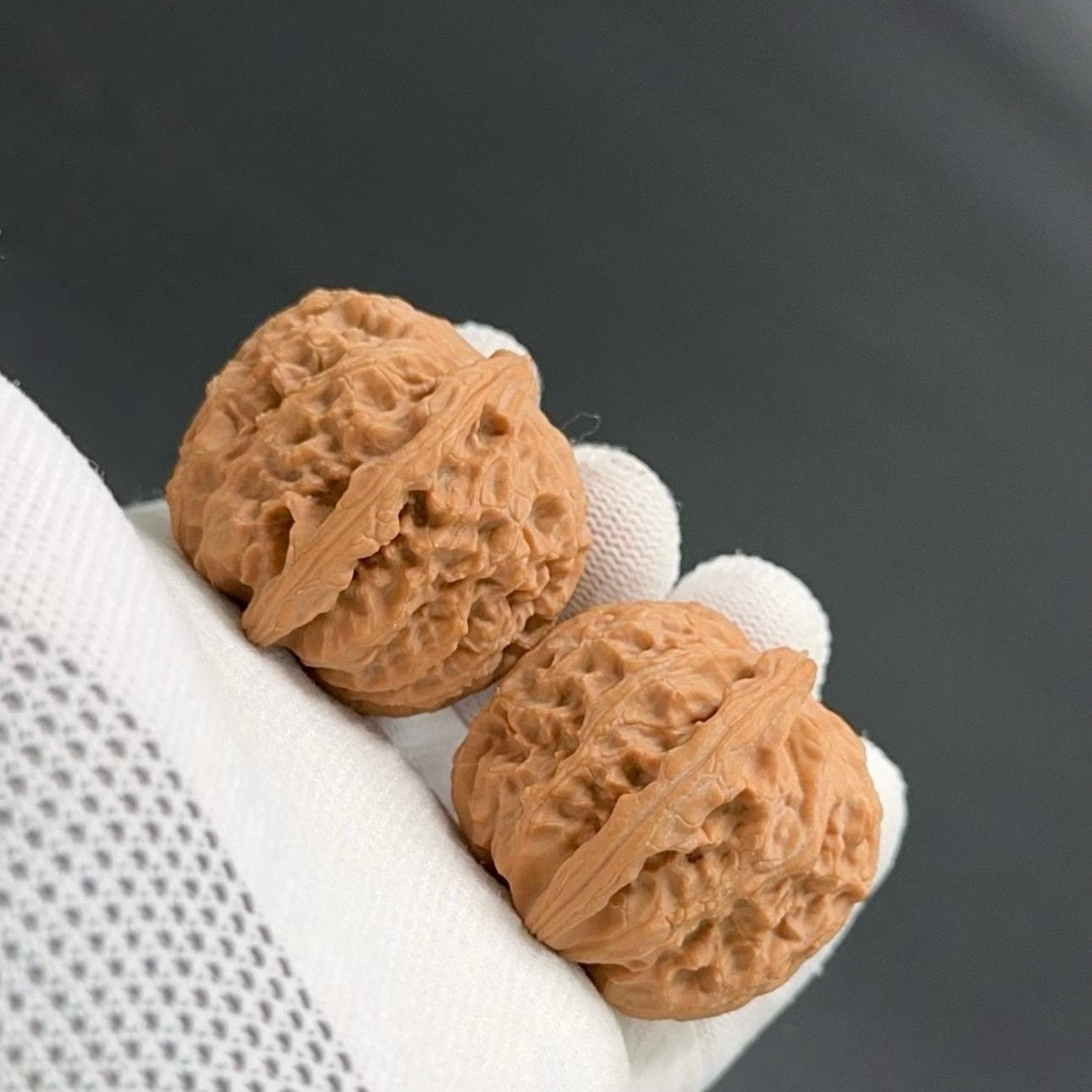On Sale | White Lion wenwan walnuts（Regular Grade）