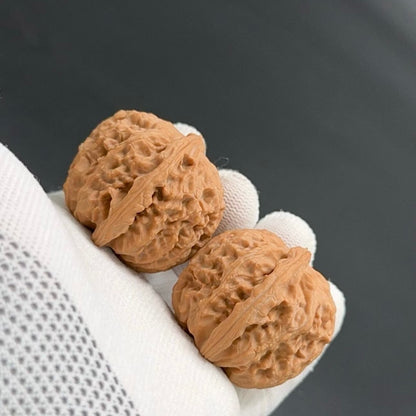 On Sale | White Lion wenwan walnuts（Regular Grade）