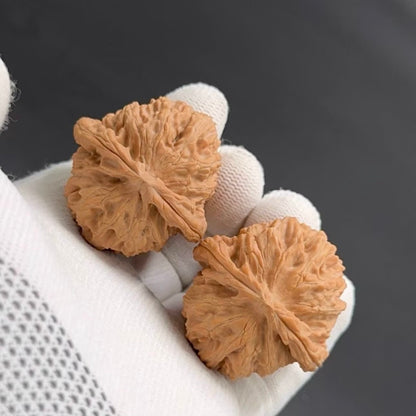 On Sale | White Lion wenwan walnuts（Regular Grade）