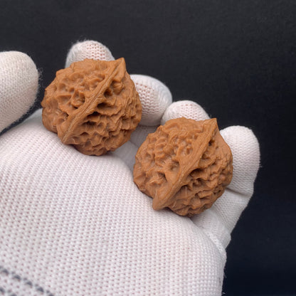 Premium | 32mm Wild Original Tree Roe Grain Noble Hat Walnuts| No. 0260628-02