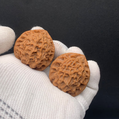 Premium | 32mm Wild Original Tree Roe Grain Noble Hat Walnuts| No. 0260628-02