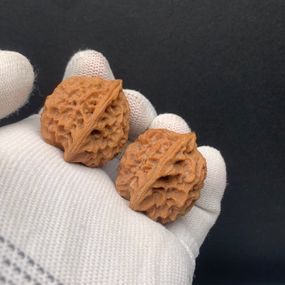 Premium | 32mm Wild Original Tree Roe Grain Noble Hat Walnuts| No. 0260628-02