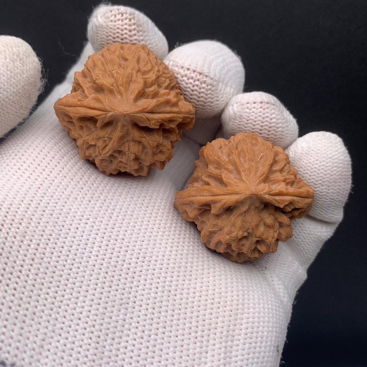 Premium | 32mm Wild Original Tree Roe Grain Noble Hat Walnuts| No. 0260628-02