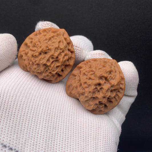 Premium | 32mm Wild Original Tree Roe Grain Noble Hat Walnuts| No. 0260628-02