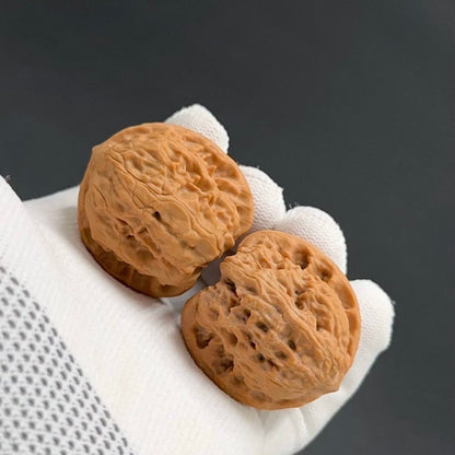 Specical Price | Wild Wolf Wenwan Walnuts （Ragular Grade）