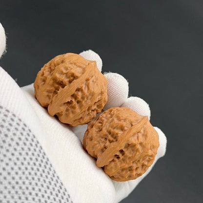 Specical Price | Wild Wolf Wenwan Walnuts （Ragular Grade）