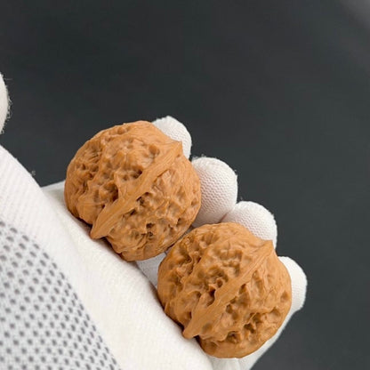 Specical Price | Wild Wolf Wenwan Walnuts （Ragular Grade）