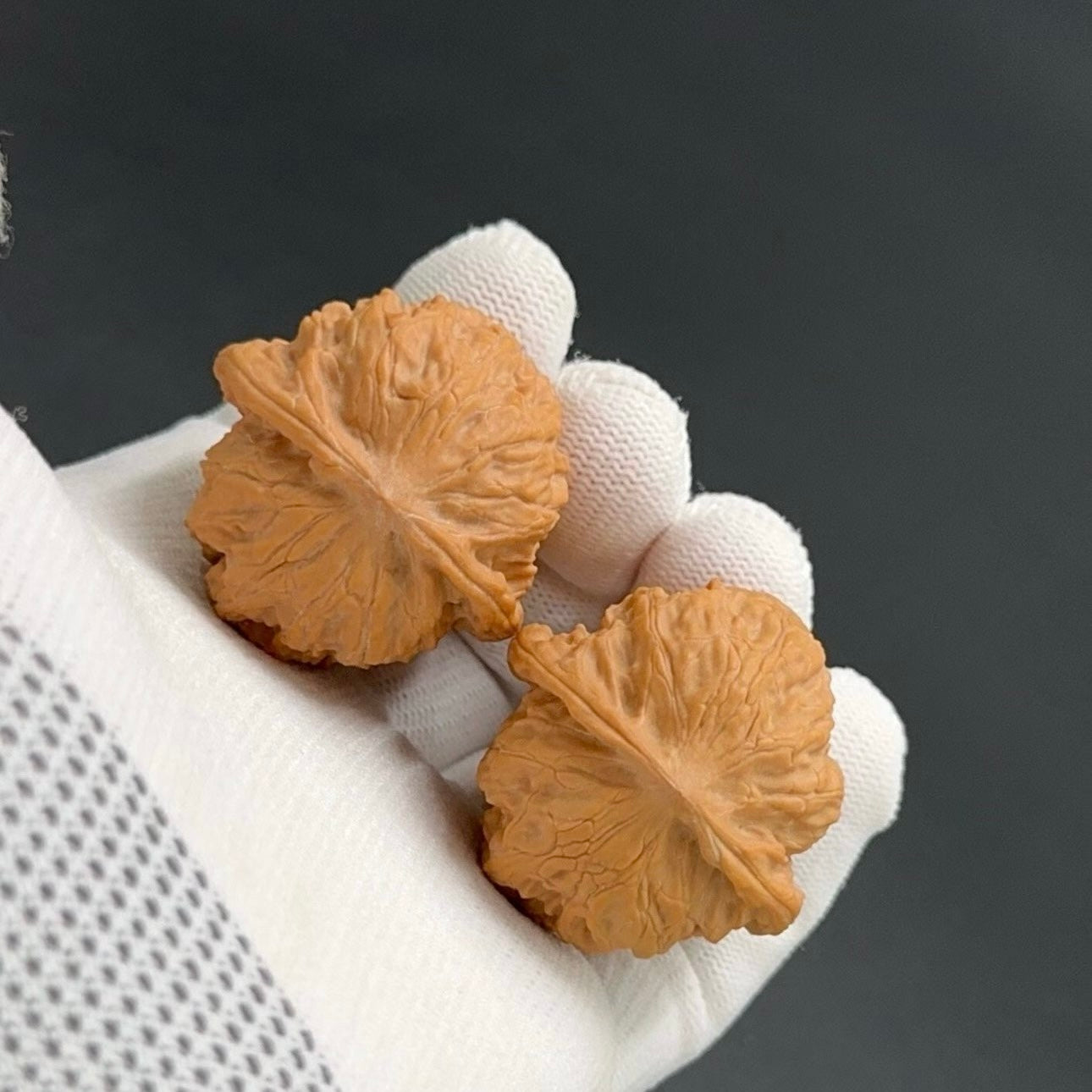Specical Price | Wild Wolf Wenwan Walnuts （Ragular Grade）