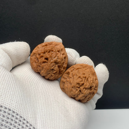 Wupengou Horseshoe Walnuts | Width35*Belly35*Height34 | No. 608132 | Premium