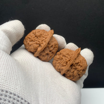 Wupengou Horseshoe Walnuts | Width35*Belly35*Height34 | No. 608132 | Premium